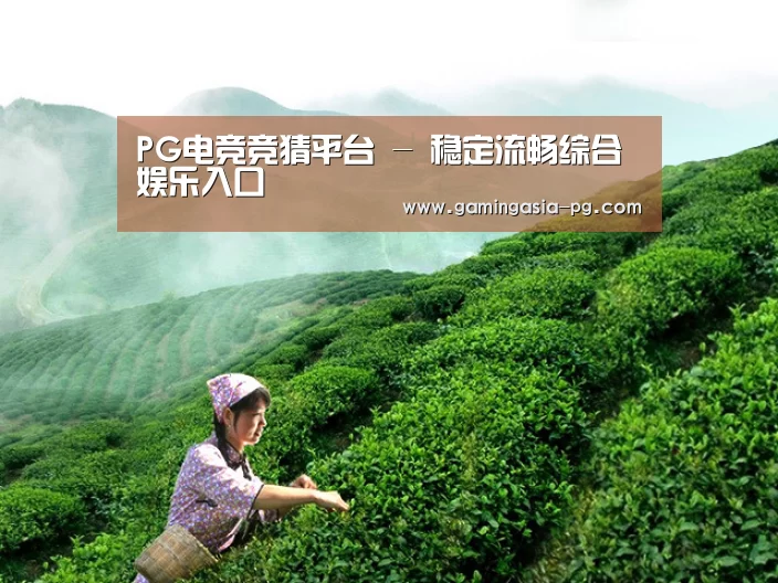 PG电竞竞猜平台 - 稳定流畅综合娱乐入口