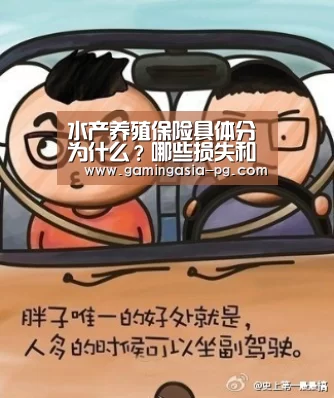水产养殖保险具体分为什么?哪些损失和灾害可以得到赔偿?|PG视讯(图1) PG足球