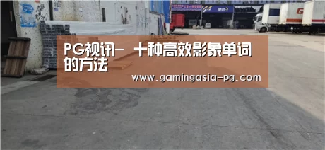 PG视讯