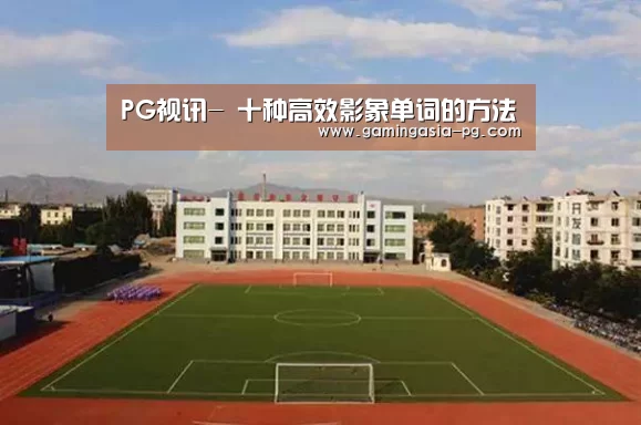 PG视讯