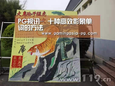 PG足球