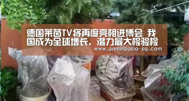 PG足球