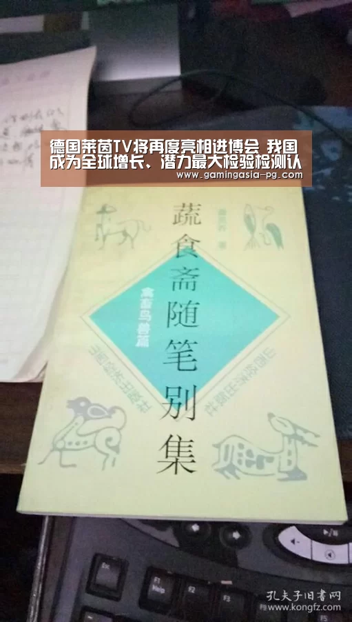PG视讯