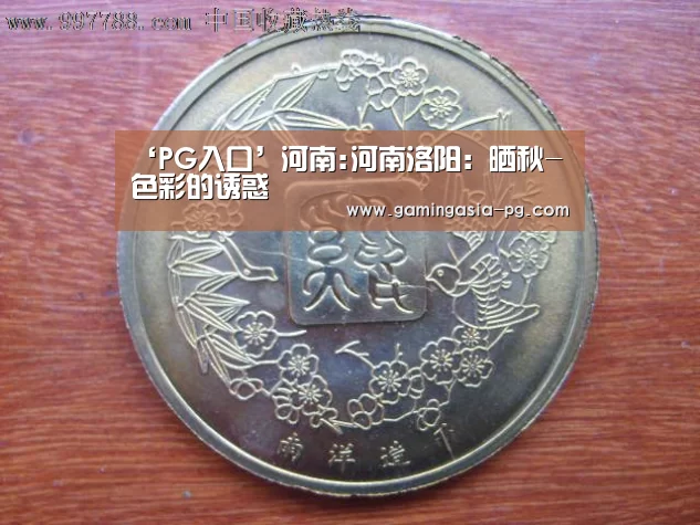 PG入口