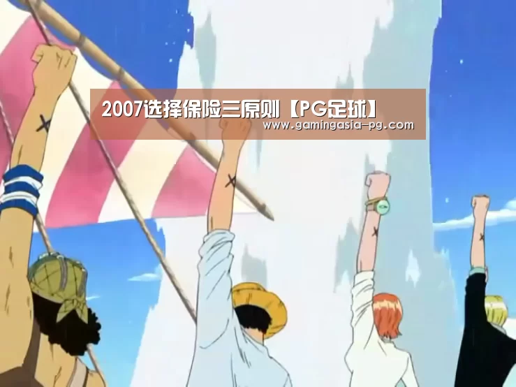 2007选择保险三原则【PG足球】(图1) PG视讯