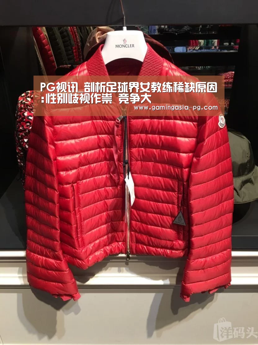 PG视讯