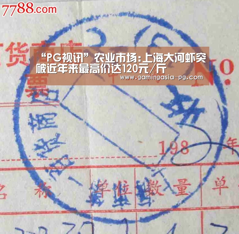 PG视讯
