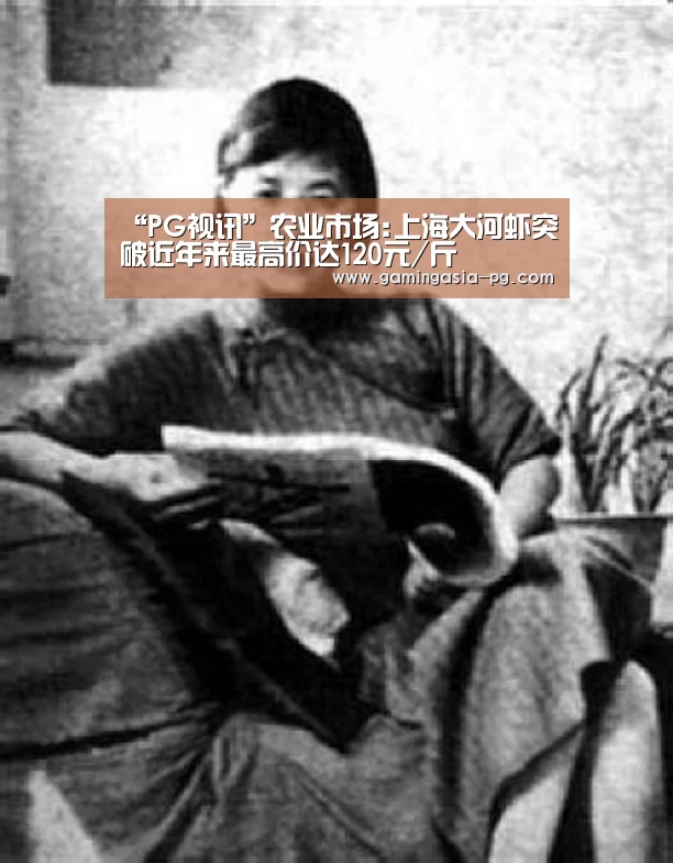 PG入口
