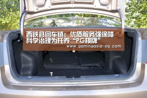 西峡县回车镇: 优质服务强保障 科学治理为托养“PG棋牌”(图3) PG入口