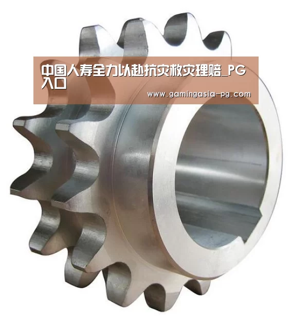 中国人寿全力以赴抗灾救灾理赔_PG入口(图1) PG足球