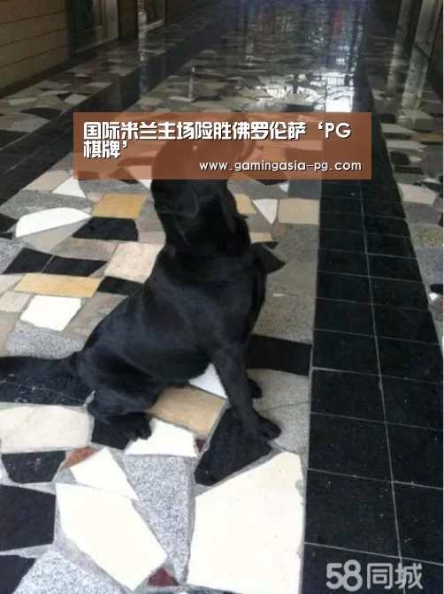 国际米兰主场险胜佛罗伦萨‘PG棋牌’(图2) PG足球