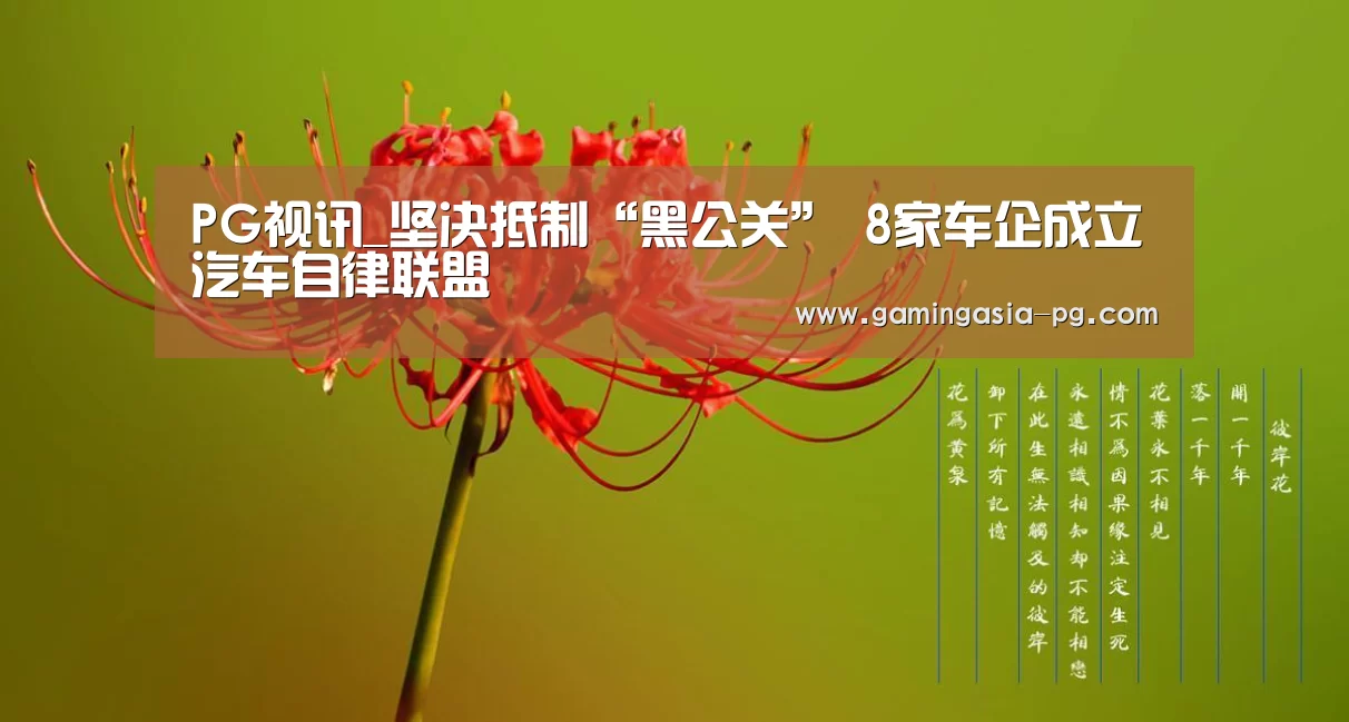 PG足球